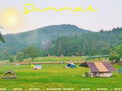 -武陵山森林公园