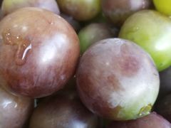 -马陆小张葡萄园农家乐