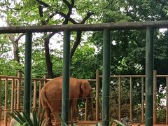 -昆明动物园