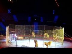 -珠海横琴长隆《卡卡虎奇遇记》