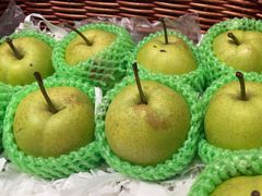 -金鼎轩(阜成门店)