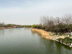 -大兴滨河森林公园