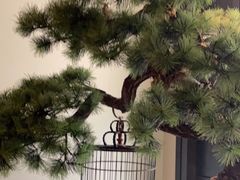 -潮上潮(南中环店)