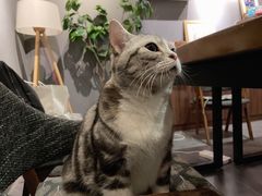 -咖法森林·咖啡  酒吧(天河店)