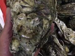 -浪琴湾尾角仔海鲜坊