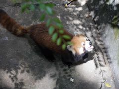 -昆明动物园