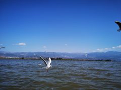 -西昌邛海湿地