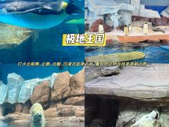 -海合安武汉极地海洋公园