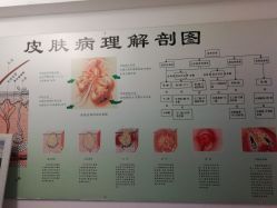 -宜肤清颜专业祛痘问题肌修护