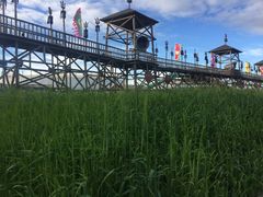 -313羊庄·羊肉火锅烧烤(李村店)