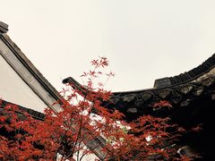 -何园
