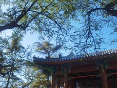 -宣武艺园