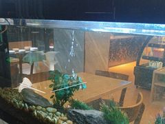 -水立方国际汤泉(六一中路店)