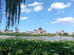 -莲花池公园