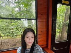 -合肥滨湖国家森林公园