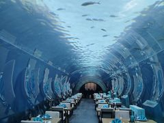 -海棠湾洲际-涛·海底餐厅·美人鱼·自助餐·海底隧道