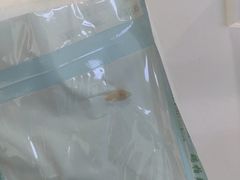 -爱齿尔口腔医院(中南院)