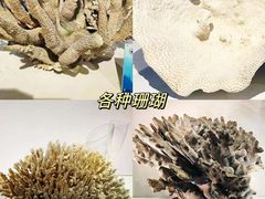 -中国地质博物馆