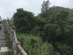 -银瓶嘴森林公园