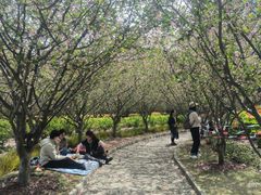 -人民公园-相亲角