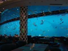 -瑞德姆美人鱼海底演艺主题餐厅(亚龙湾店)