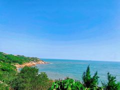 -广东惠东海龟国家级自然保护区