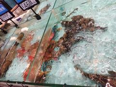 -云庭汇·粤菜海鲜(东盟盛天地店)