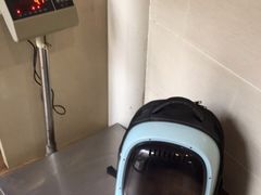 -爱侣·安琦尔宠物医院·中兽医针灸·心内科·狂犬免疫点(宝山区院)
