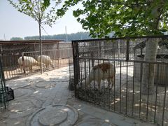 -河北村民俗体验园