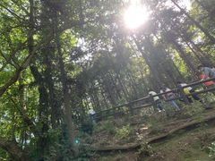 -冶父山国家森林公园