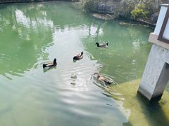 -盘门景区