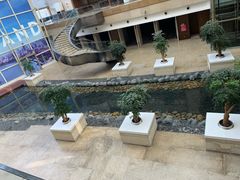 -上海外滩茂悦大酒店