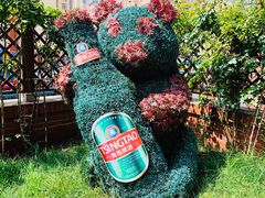 -青岛啤酒博物馆