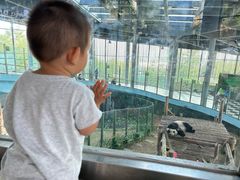 -大连森林动物园