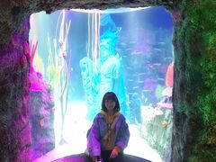 -沈阳海洋探索中心