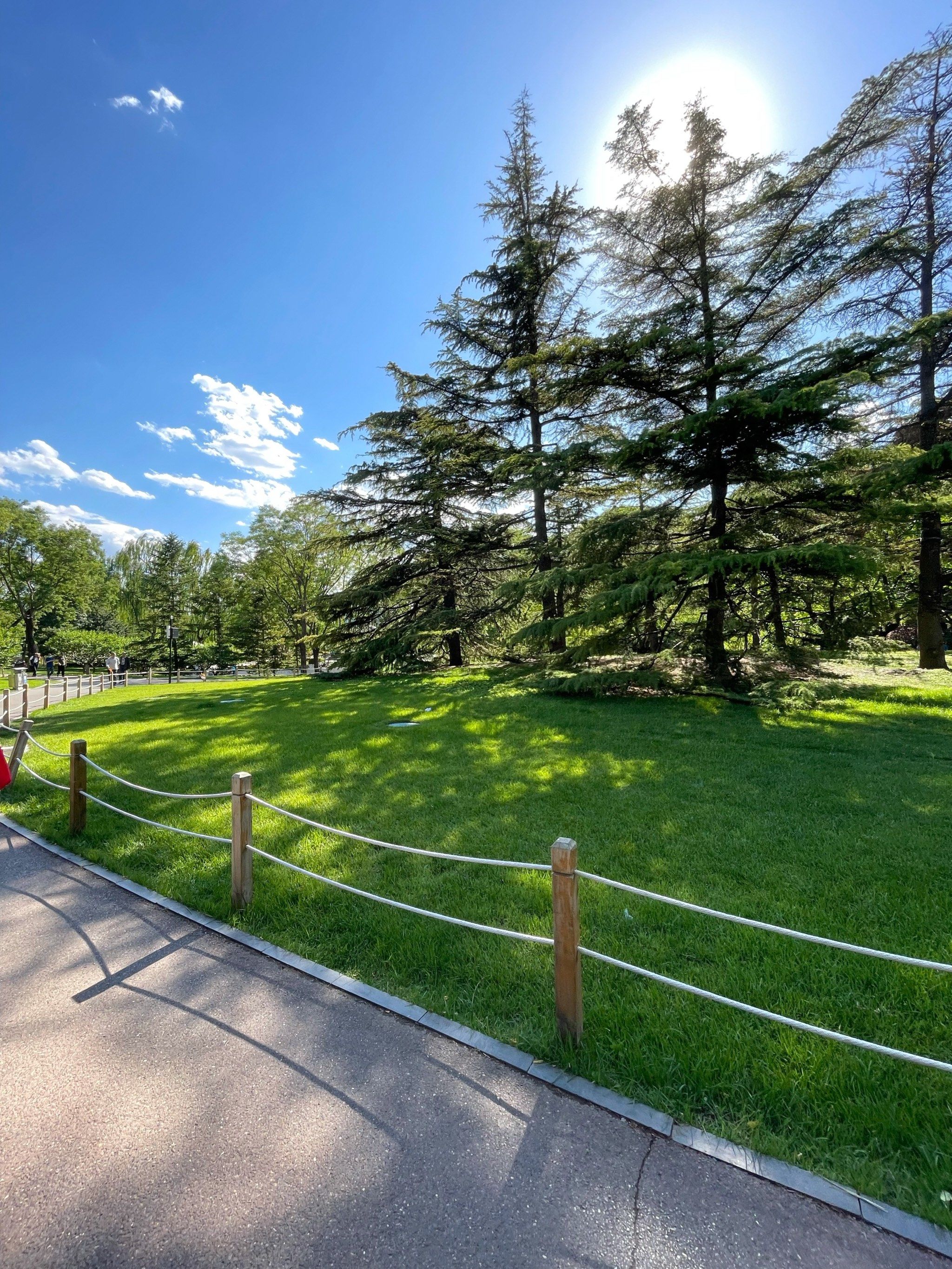 欧洲风格的园林