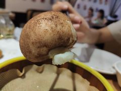 -天府掌柜(九眼桥店)