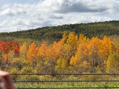 -莫尔道嘎国家森林公园