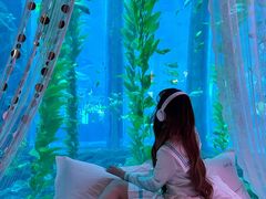 -南昌融创海世界