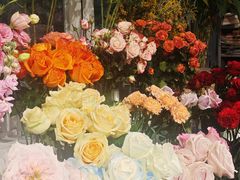 -FEI FEI FLOWER鲜花店·气球派对·宝宝宴布置(虹口德必运动Loft店)
