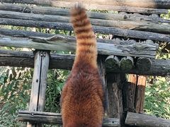 -昆明动物园