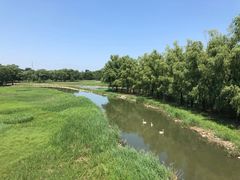 -北京麋鹿生态实验中心