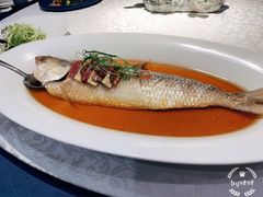 古法秘制蒸鲥鱼-麟1929(外滩店)