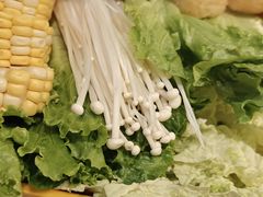 -润园四季椰子鸡火锅(南山海岸城店)