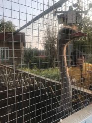 -萌宠亲子动物乐园(槐房万达店)