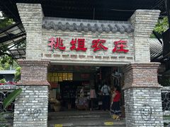 -桃姐农庄老字号(增城分店)