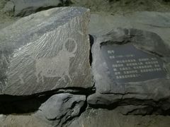 -包头博物馆