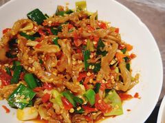 鸭掌筋-壹盏灯(惠农店)