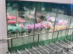-盒马X会员店(上海森兰商都店)
