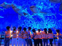 -广州市海珠区乐森幼儿园